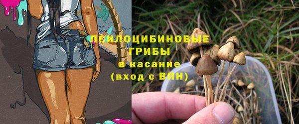 хмурый Алзамай