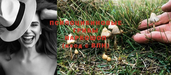 PSILOCYBIN Алексеевка