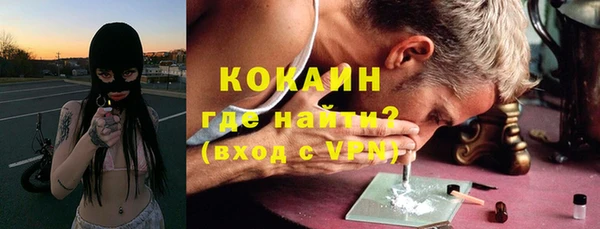шишки Алексин