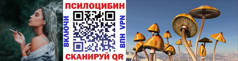 это как зайти  Ишим  Галлюциногенные грибы ЛСД  как найти  