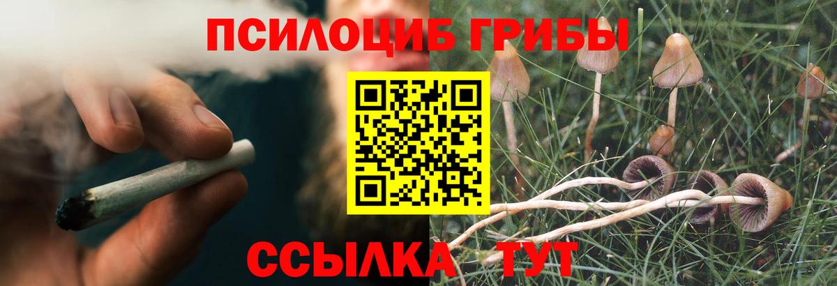 Галлюциногенные грибы MAGIC MUSHROOMS Ишим